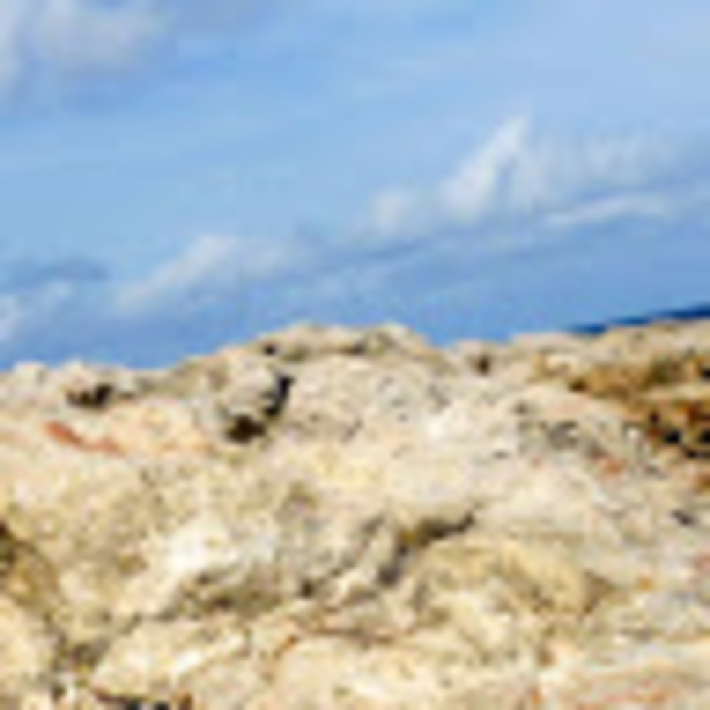 Meet your Posher, Nicola